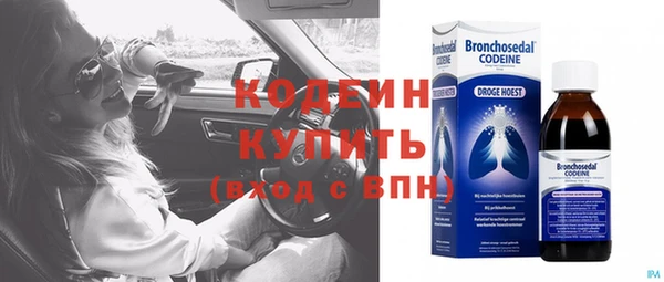 spice Бородино