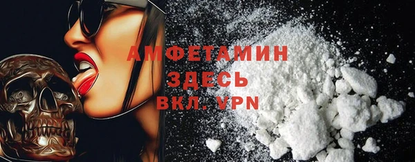 spice Бородино