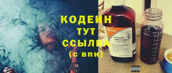spice Бородино