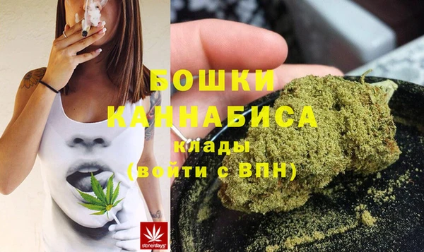 spice Бородино