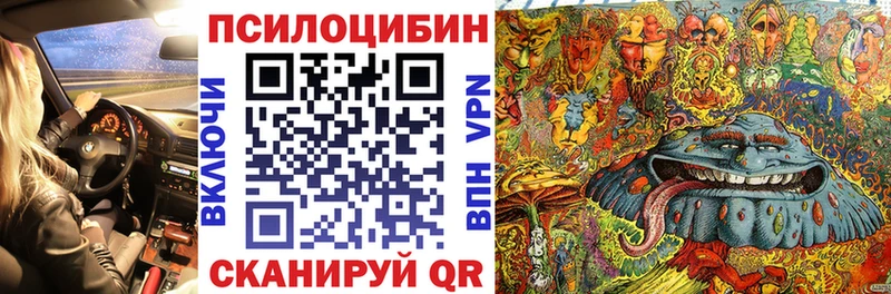 Псилоцибиновые грибы Psilocybine cubensis  Гулькевичи 